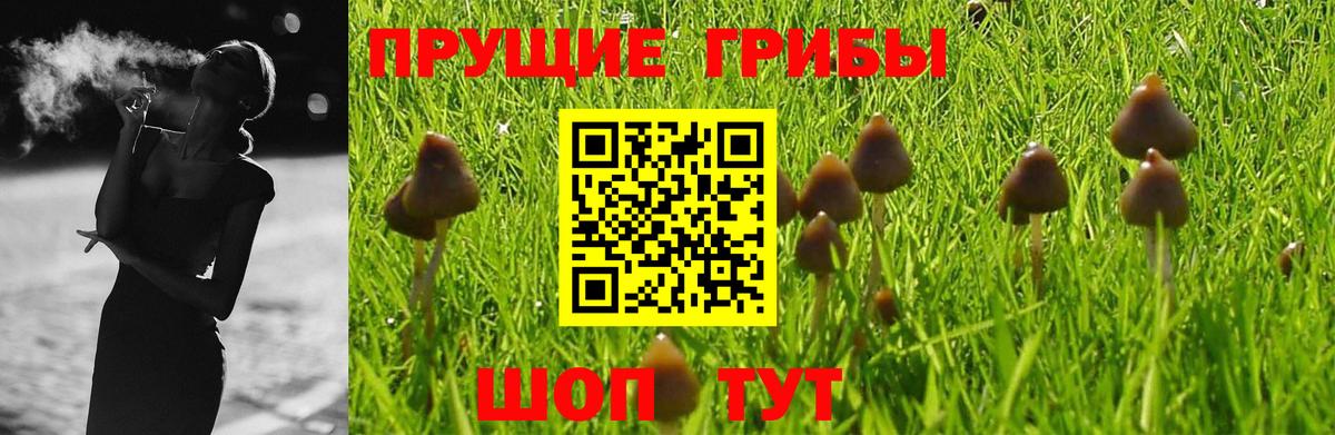 Псилоцибиновые грибы MAGIC MUSHROOMS Сафоново