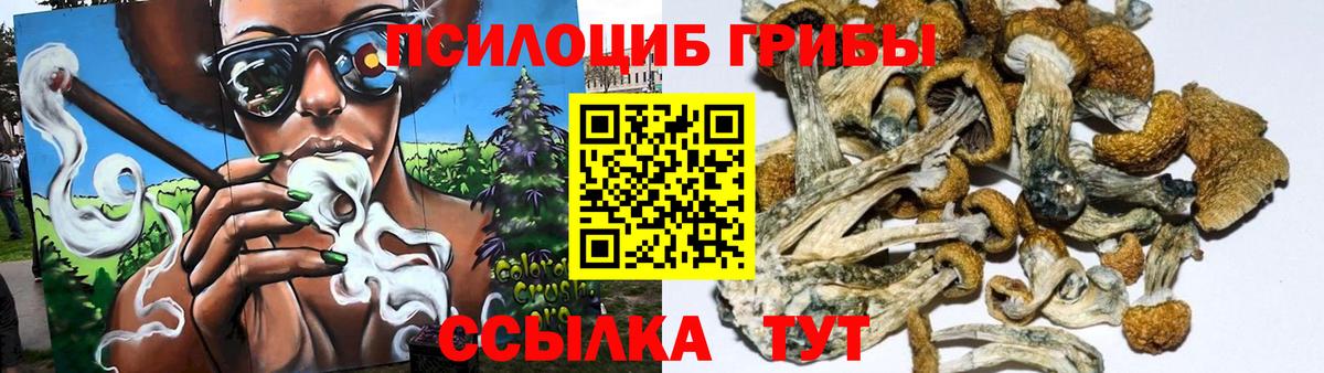 Псилоцибиновые грибы Magic Shrooms  где купить наркоту  Сафоново  Вход с VPN 